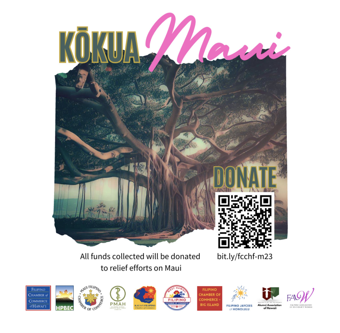 Kokua Maui - Wildfire Relief Fund Drive